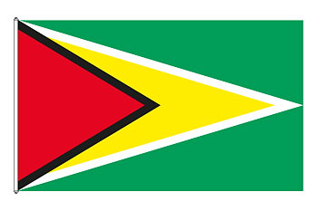 Guyana Flagga