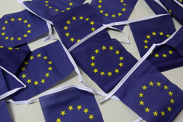 EU bunting 15x22 cm