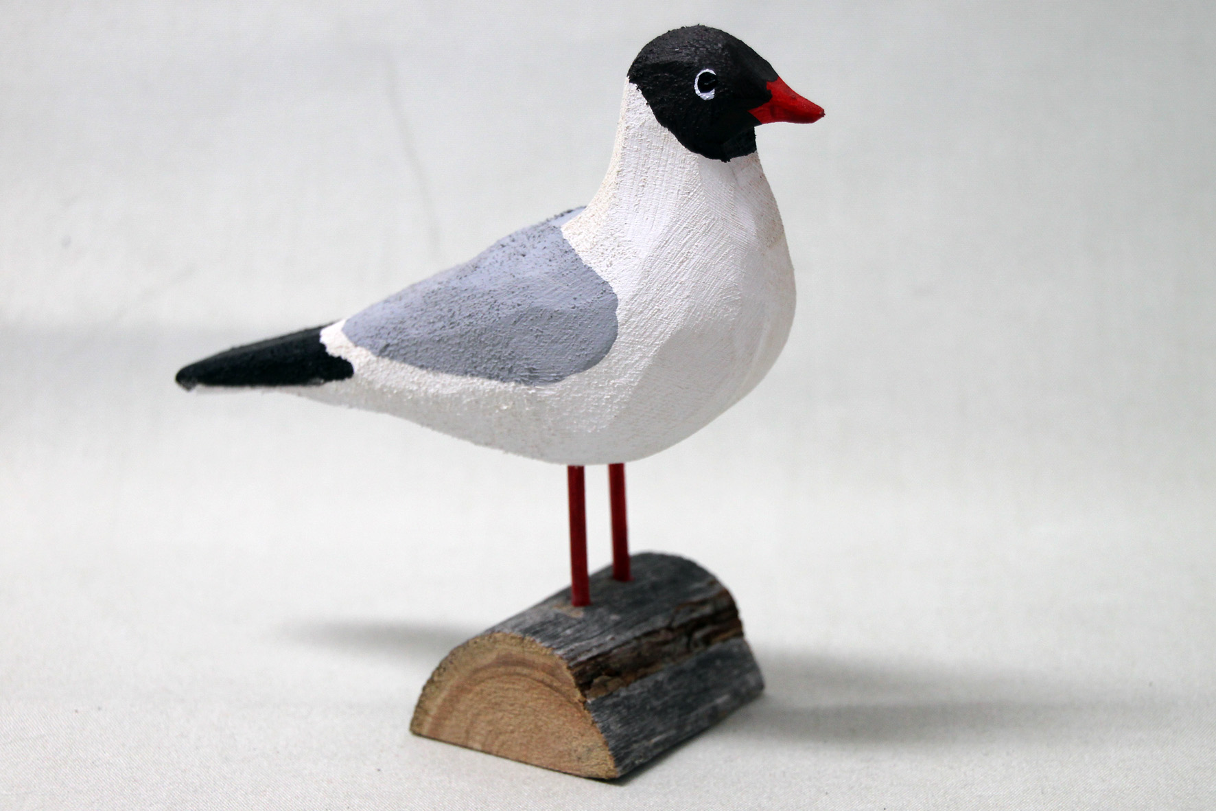 Black-headed gull in wood