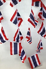 Thailand Flag Bunting 15x22 cm