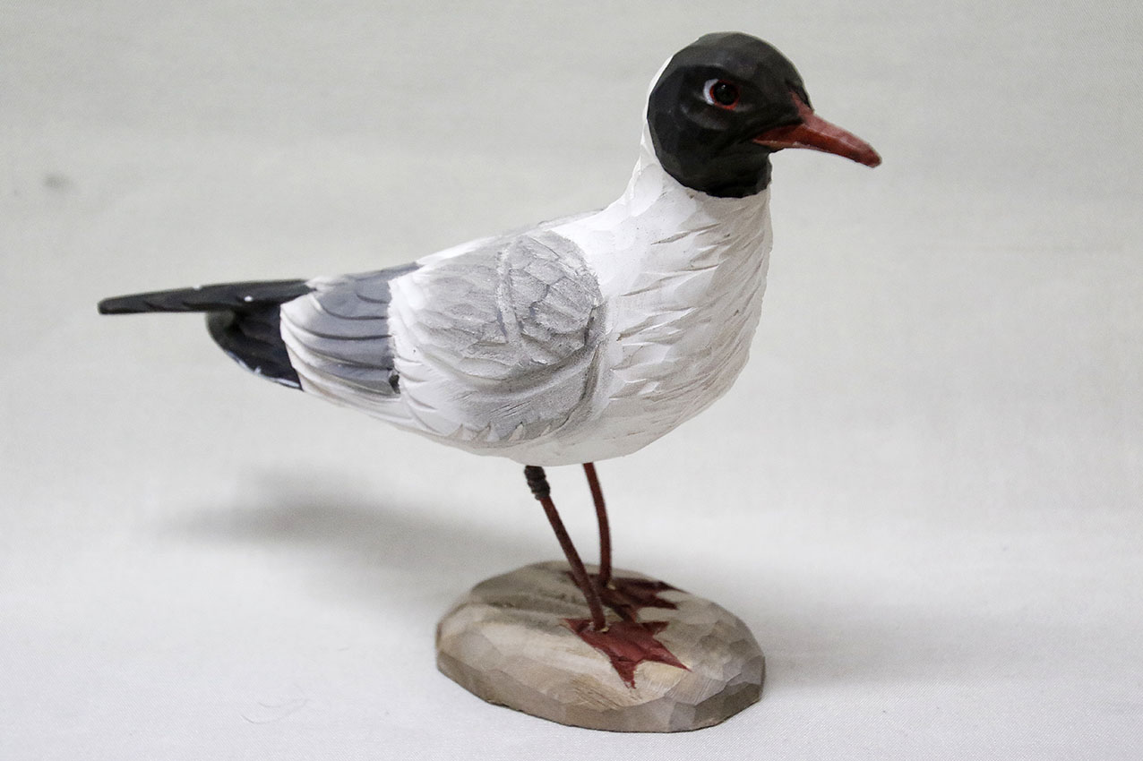 Black-headed gull Wood 27x17x7 cm