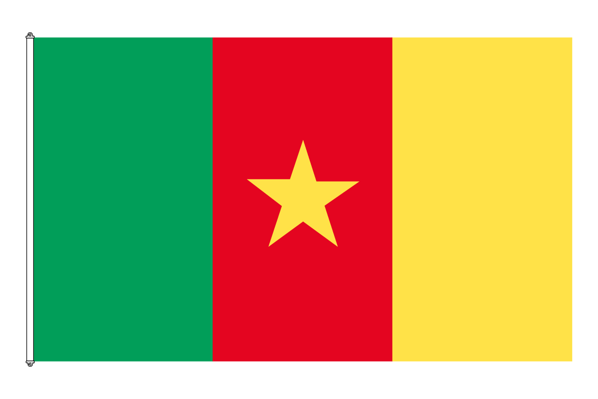 Kamerun Flagga