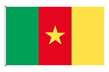 Flag of Cameroon