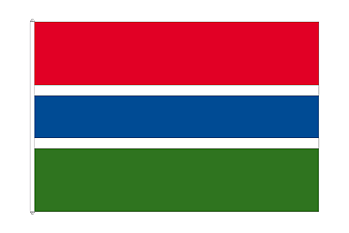 Flag of Gambia