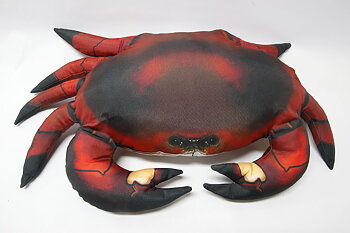 Krabba Kudde 65x40 cm