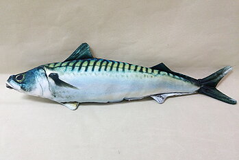 Makrill kudde 60x17 cm