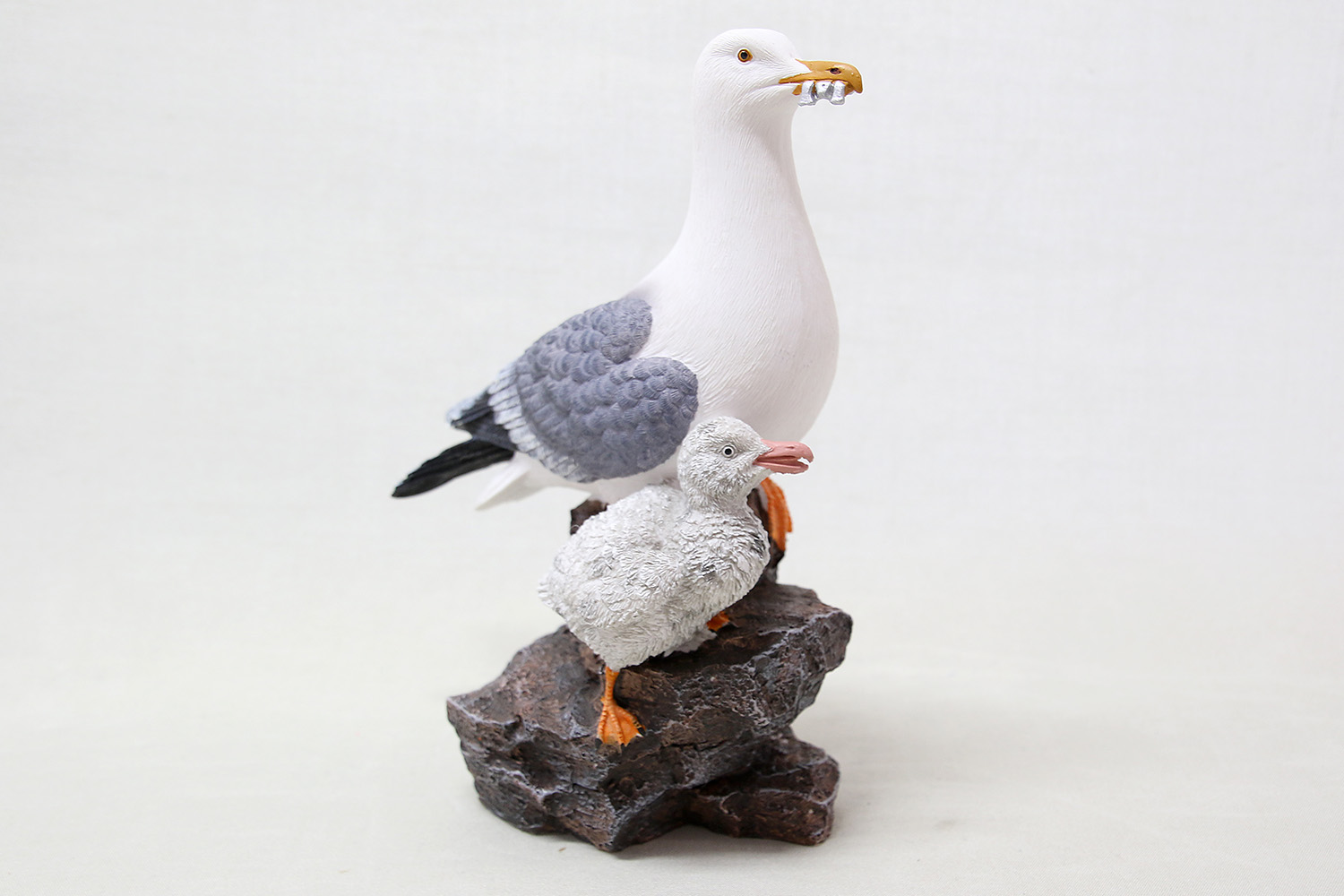Birds