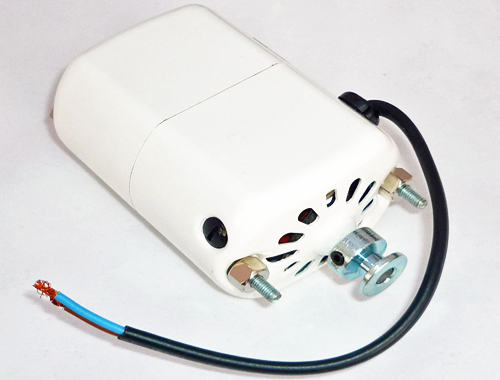 RW Motor 220 V