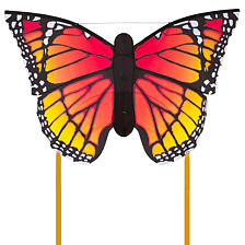 Butterfly L Monarch