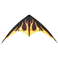 BEBOP Fire
