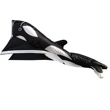 Parafoil Orca