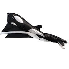 Parafoil Orca