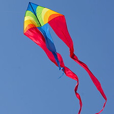 F-tail Dart Rainbow