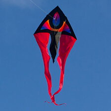 F-tail XM Supernova