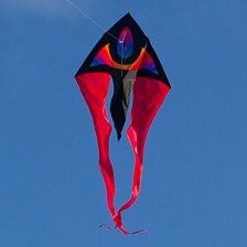 F-tail XM Supernova