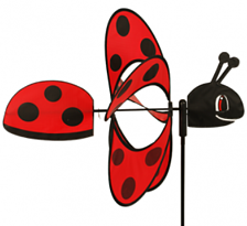 Magic Ladybird