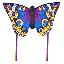 Butterfly L Buckeye