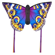 Butterfly L Buckeye