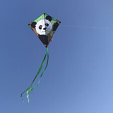 Eddy Panda