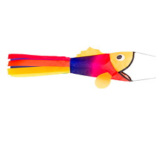 Windsock Little Rainbow fish
