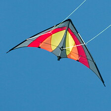 SHURIKEN Red Dessert MUSTHAVE