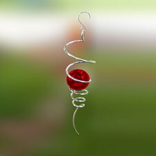 Spiral glaskula Rubin
