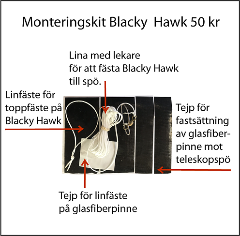 Blacky Hawk rovfågeldrake
