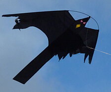 Blacky Hawk rovfågeldrake