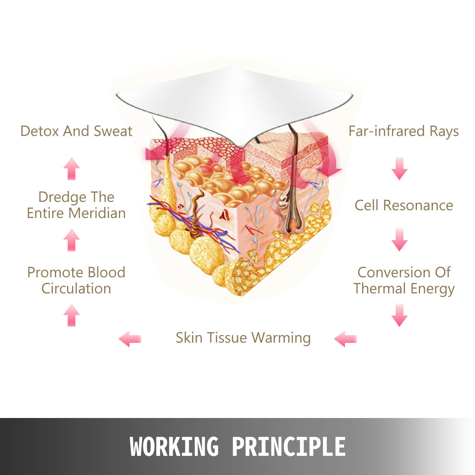 3 Zones FIR- Infraröd värmesäck för smärtlindring/slimming/detox OBS Demo - 8