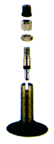 Slang  28" 28x1.75 - 3