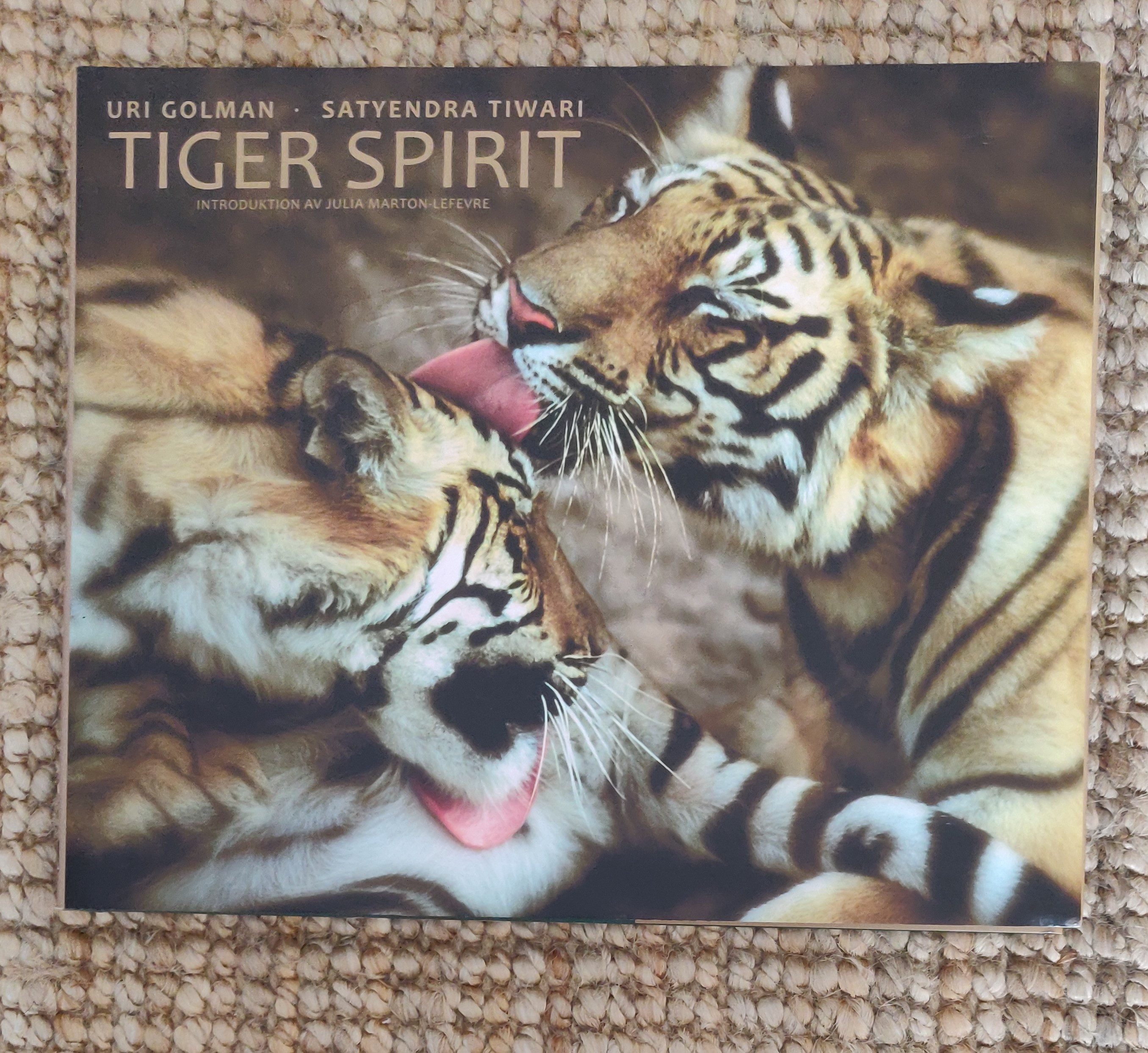 Tiger Spirit av Uri Golman och Tiwari Satyendra