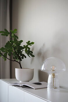 Bordslampa Fungo 22 Special Edition Klar