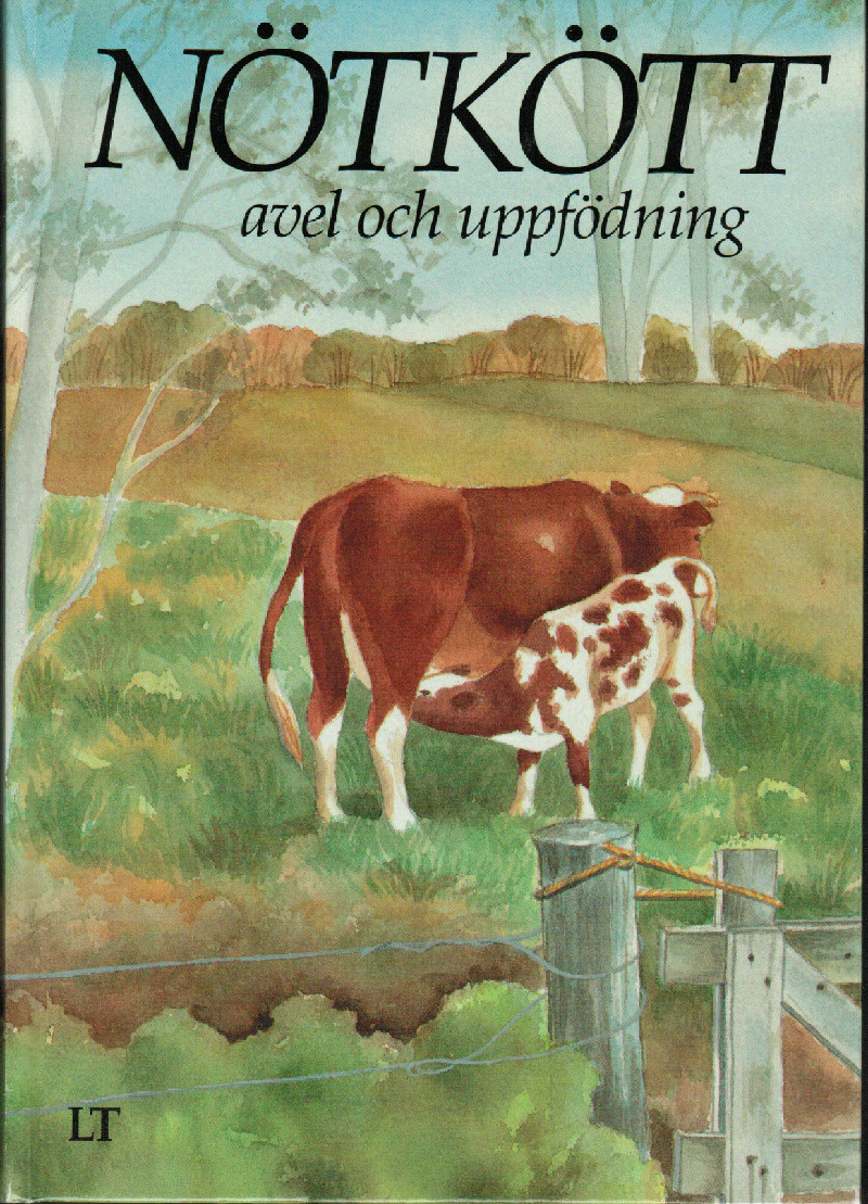 Nötkött avel och uppfödning