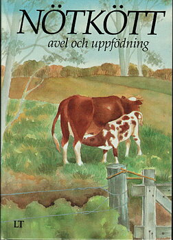 Nötkött avel och uppfödning
