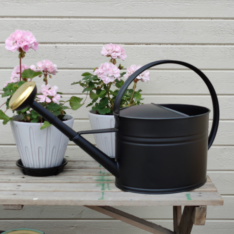 Vattenkanna svart oval 7L med stril