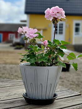 Lisa kruka från Nittsjö Keramik