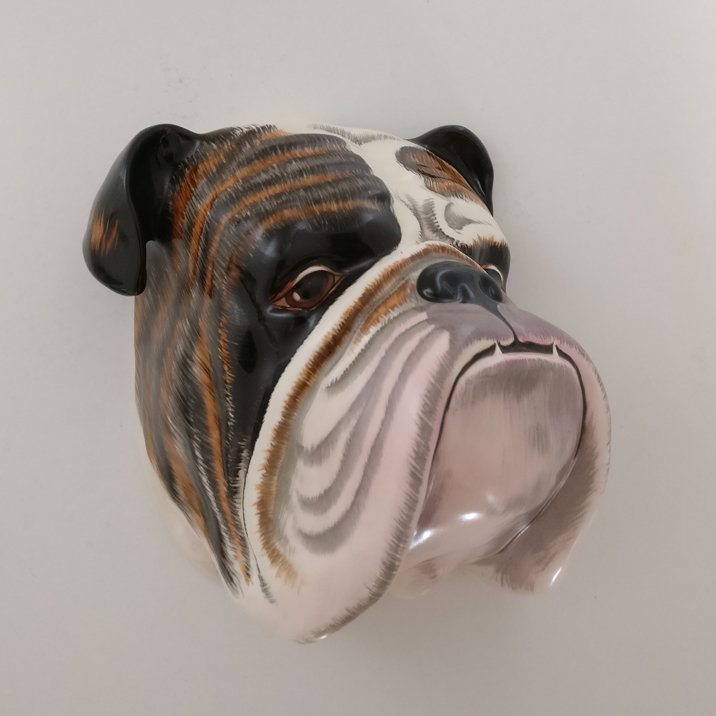 Engelsk Bulldogg väggmask från Crown Devon - 3