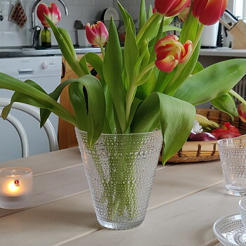 Kastehelmi Vas från Iittala