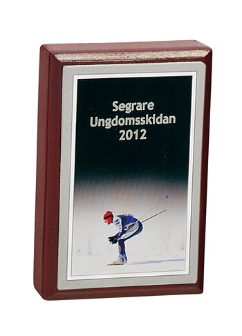 Plakett 3584 Skidor