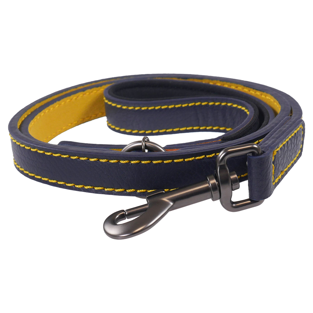 Hundkoppel Joules Läder Navy