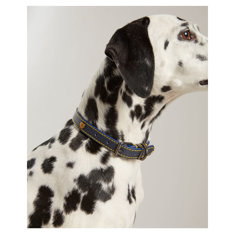 Dog Collar Joules Leather Navy - 3