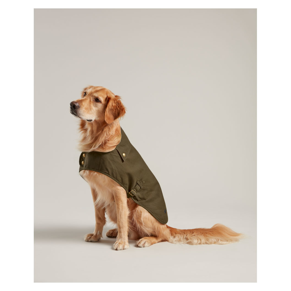 Dog Coat Joules Wax Cotton Green - 4