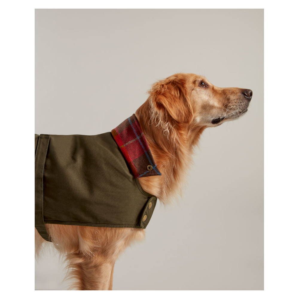 Dog Coat Joules Wax Cotton Green - 3