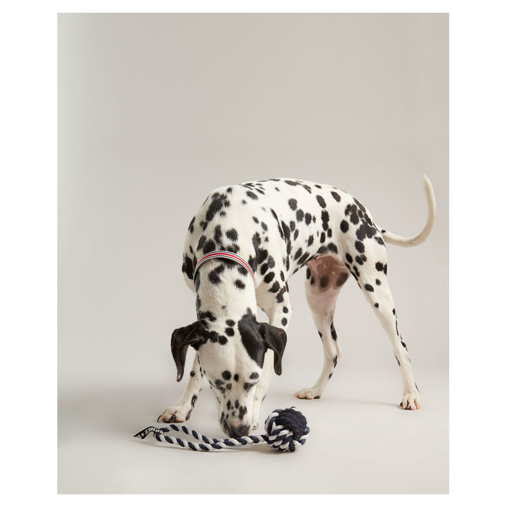 Hundleksak Joules Rubber And Rope - 3