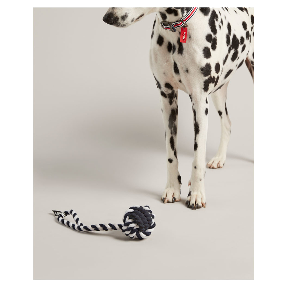 Hundleksak Joules Rubber And Rope - 2