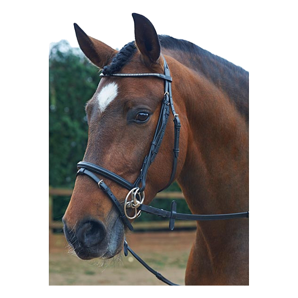 Träns John Whitaker Clear Crystal Cob Brun 