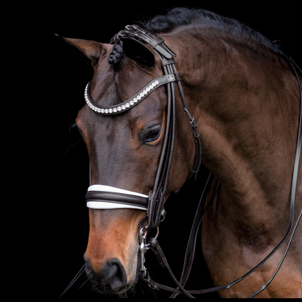 Rolled Double Bridle SD Design Belissimo Black White - 2
