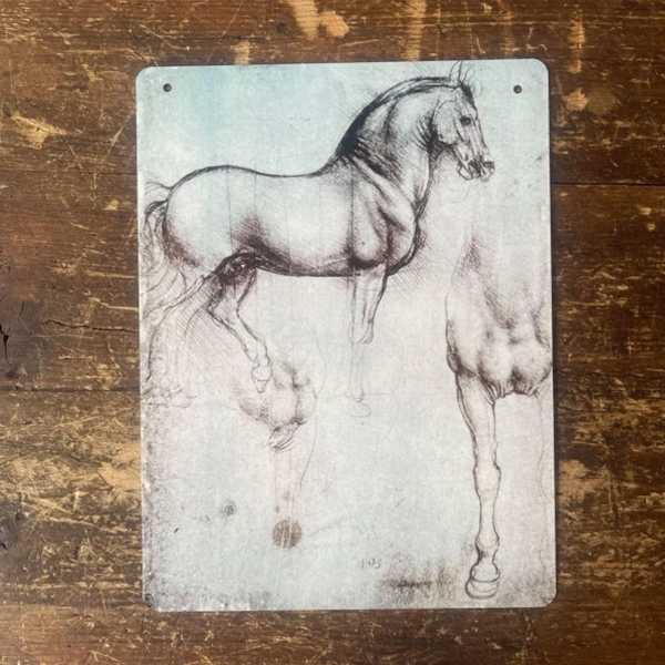 Metal Sign Study Of Horse