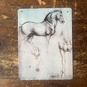 Metal Sign Study Of Horse