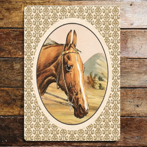 Metallskylt Horse Head Portrait